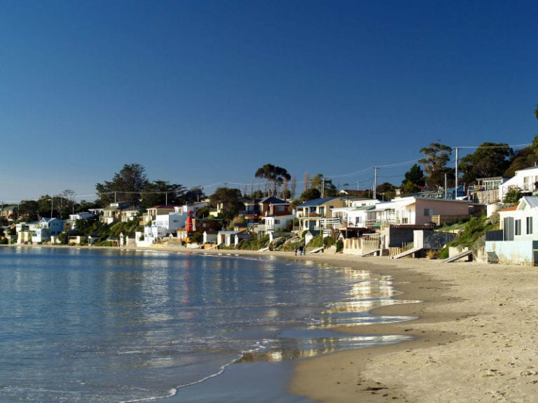 Opossum Beach 86 768x576