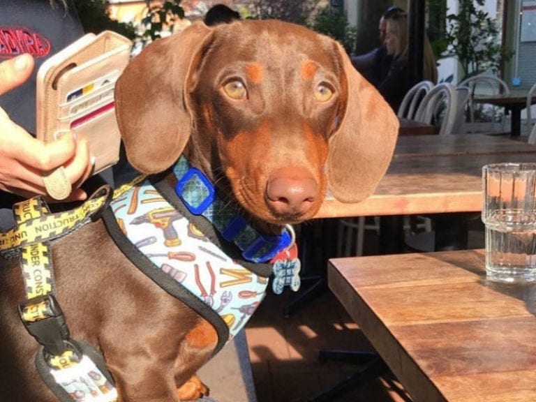 Padburys Restaurant 768x576