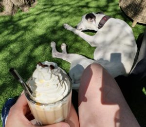 Patrick OPT2a 300x261