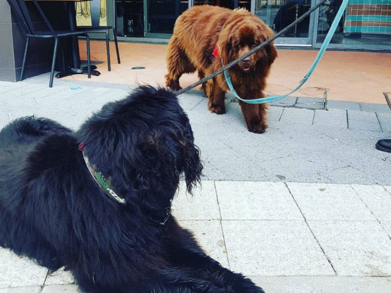 Refuge Small Bar 768x576