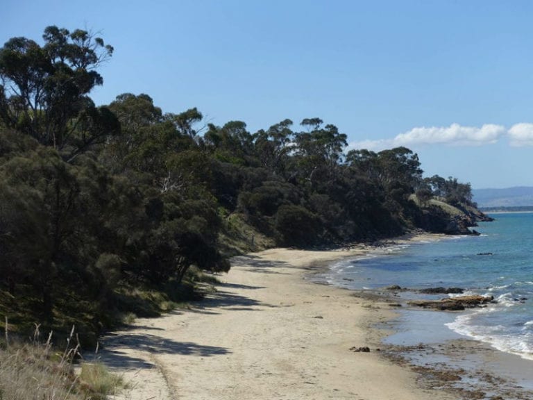 Roches Beach 86 768x576