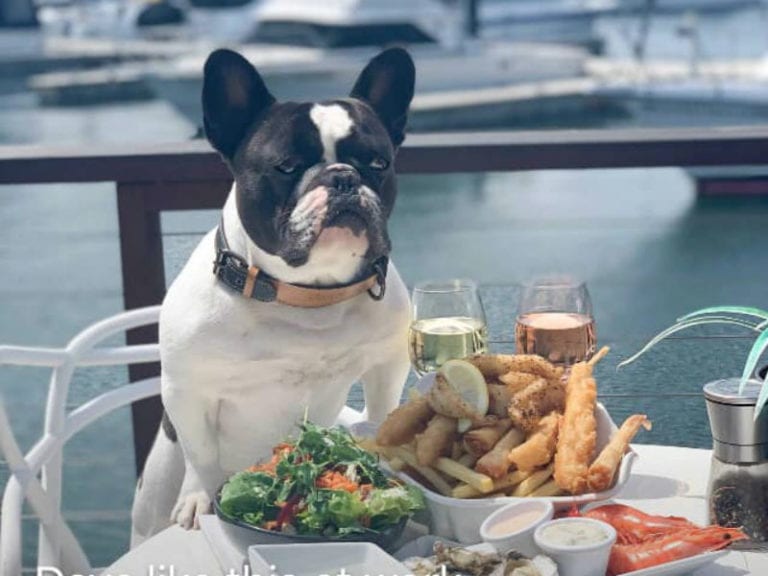 Seasalt Cafe 768x576