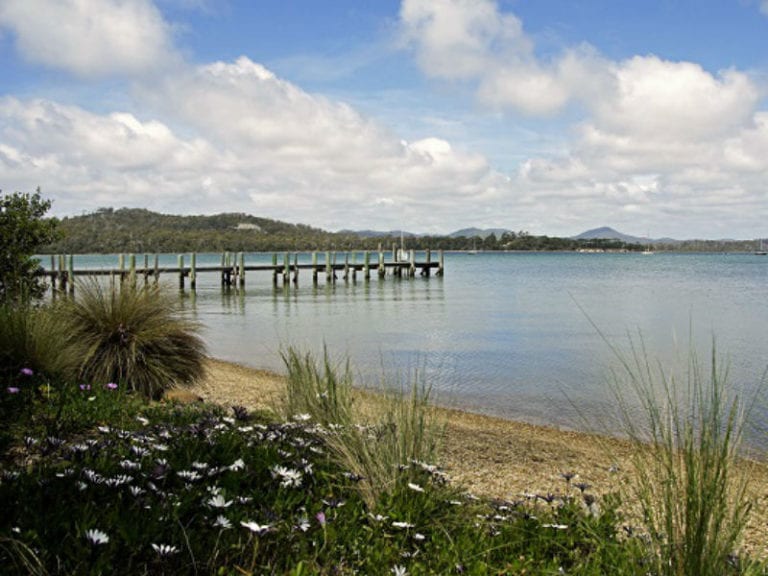 Squeaking Point 86 768x576