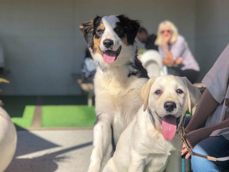 The Orange Box 768x576