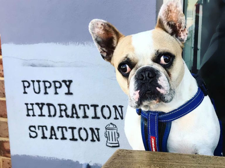 The Sparrows Nest 768x576