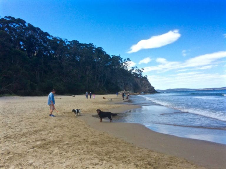 Tyndall Beach 86 768x576