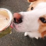 yukikari9@hotmail.com