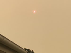 3EA05AEE 3EBC 4BD1 BA99 C500531369AF 300x225