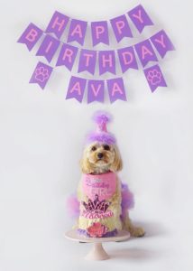 A7A99DF1 DC1A 4C1E 8E36 559E043FC821 214x300