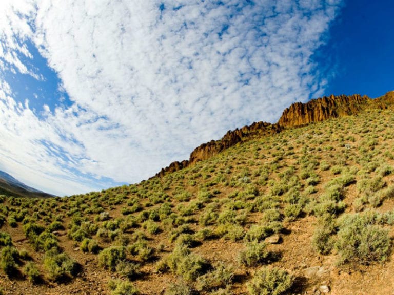 Almerta Station 8 6 768x576