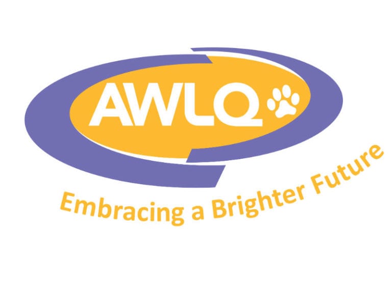 Animal Welfare League 1 86 3 768x576