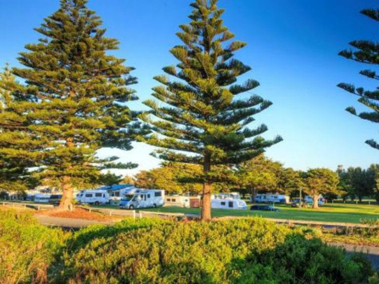 Beachport Caravan Park 86 768x576