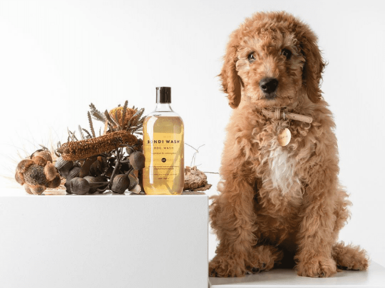 Bondi Wash 2 86 768x576