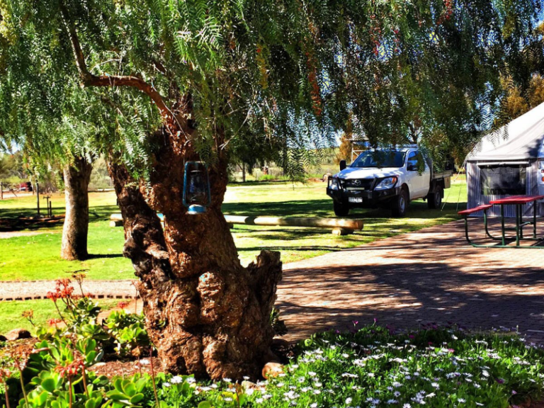 Carrieton Caravan Park 86 768x576