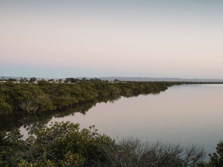 Cowell Foreshore Caravan Park 86 768x576