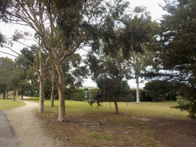 Dendy Park 86 768x576