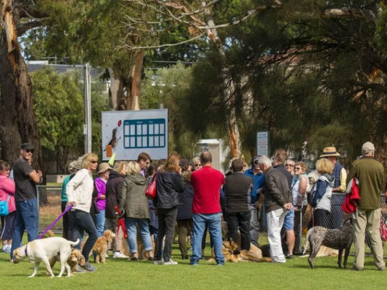 Donald MacDonald 86 768x576