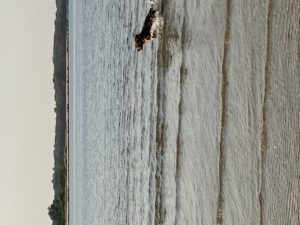 E0183322 B9FF 4AAA 822D 64556405C051 300x225