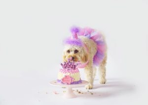 F20310C1 6249 4CCE BD55 41321C8D8011 300x214