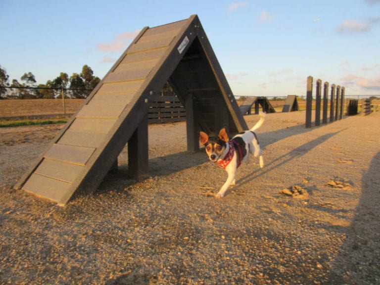 Green Gully 86 768x576