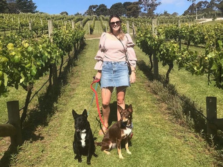 Green Olive 3 86 768x576