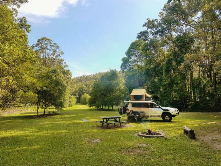 Hidden Valley Farm Dog Friendly Camping in Yandina Pupsy