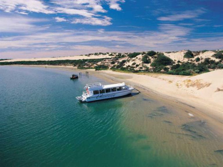 Hindmarsh Island Caravan Park 8 6 768x576