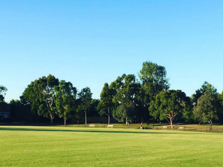 Hurlingham Park 86 768x576