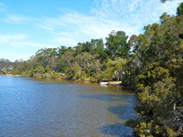 kalgan-river-caravan-park-dog-friendly-camping-in-albany-pupsy