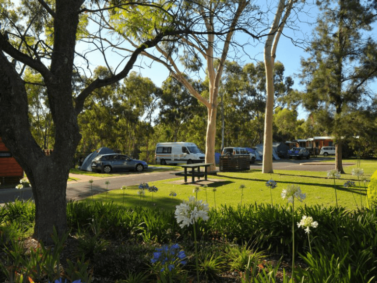 Levi Park 8 6 768x576