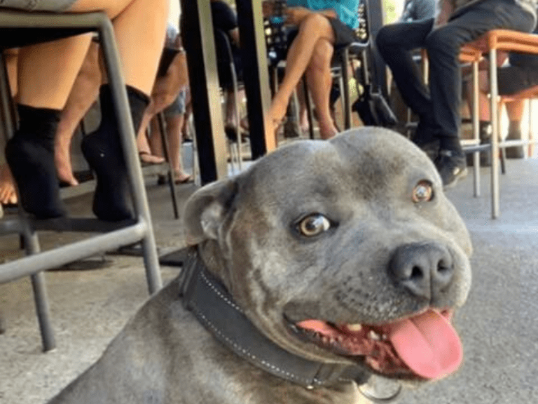 Mount Helena Tavern 768x576