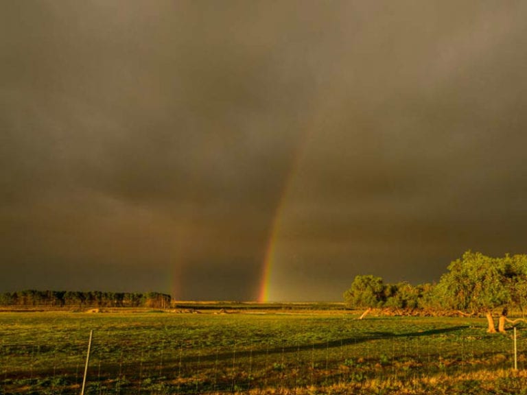 Nambuun Station 8 6 768x576