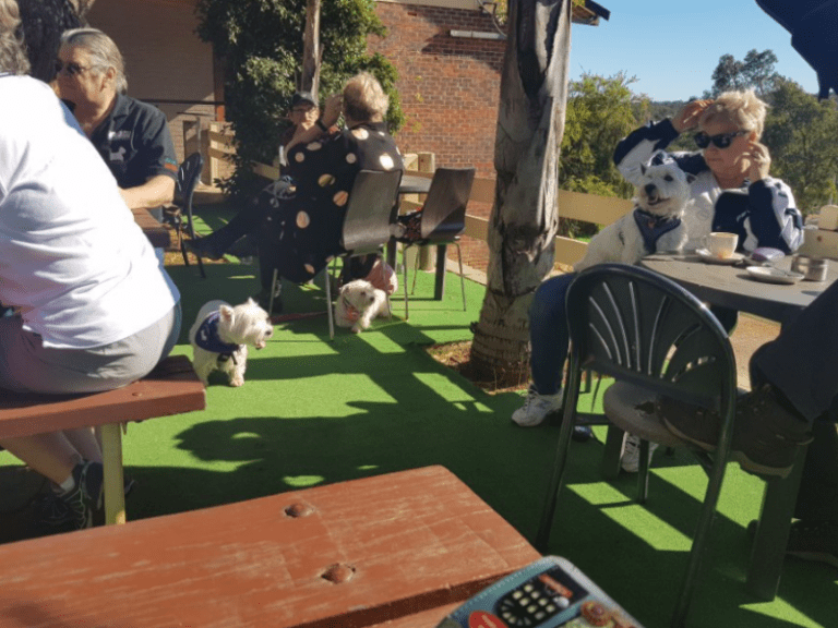 Noble Falls Tavern 768x576