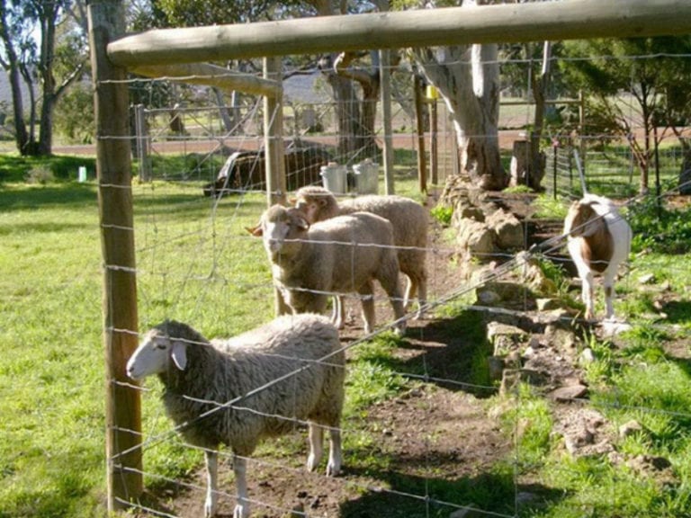 Nyroca Campsite 8 6 768x576