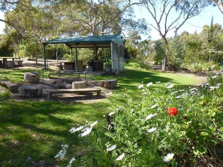 Padthaway Caravan Park 86 768x576