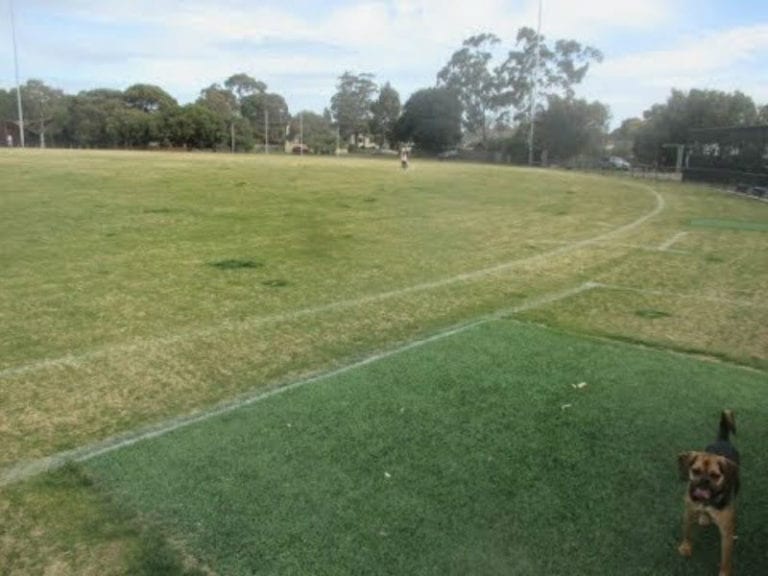 RG Chisholm 86 768x576