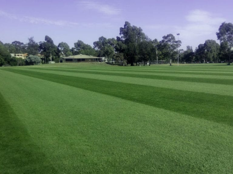 Sir Zelman Cowen Park 86 768x576