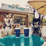 The Dogs Breakfast Cafe 2 150x150