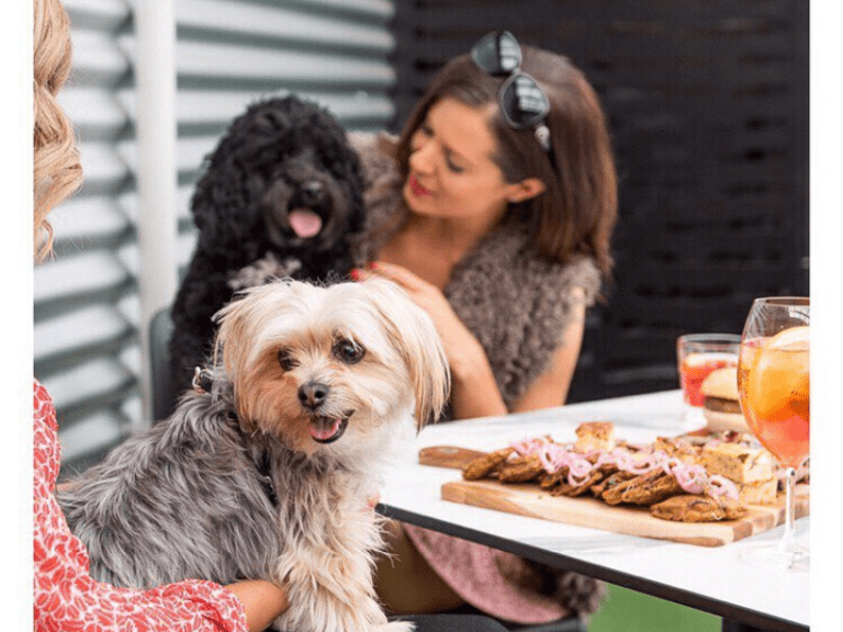 The Local Wine Co 768x576