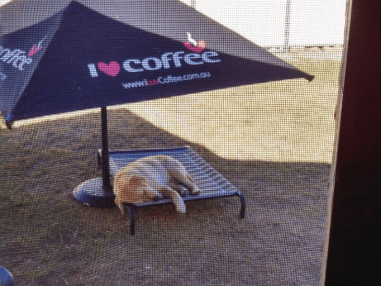 Waterloo Bay Cafe 768x576