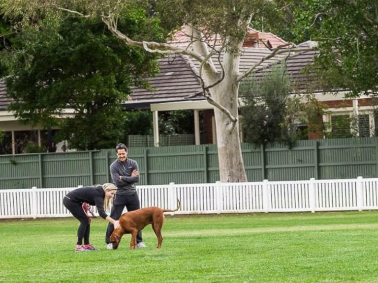 William Street Reserve 86 768x576