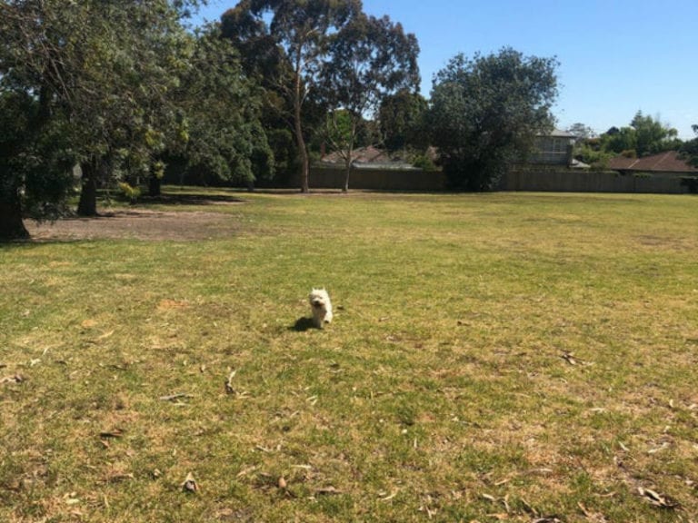 Wishart Reserve 86 768x576