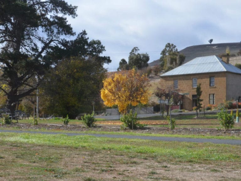 hamilton campground 8 6 768x576