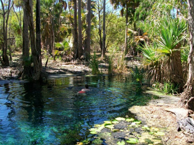 mataranka homestead tourist park 8 6 768x576