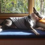 daveoverseas@live.com.au