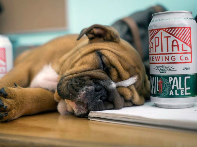 Capital Brewing 1 86 768x576
