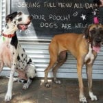 Goodys On The Beach 1 86 150x150