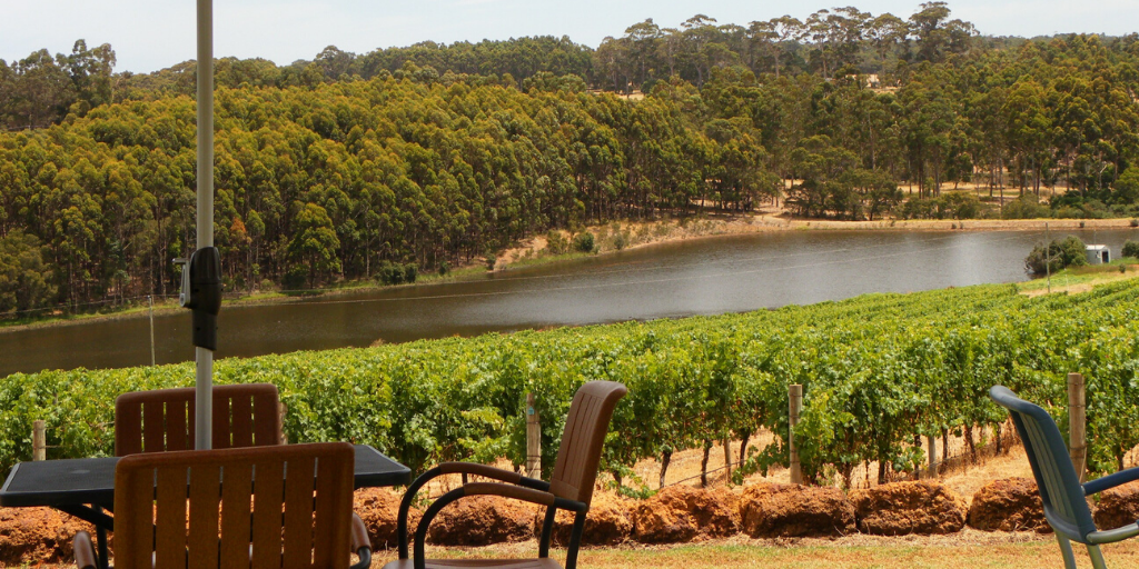 Margaret River Winery Tours, Dog Friendly