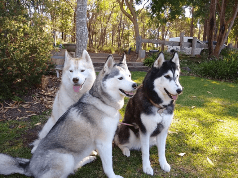 Happs Winery 768x576