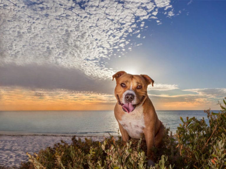Hillarys Beach 2 86 768x576